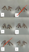 Load image into Gallery viewer, Custom Pigeon Claw Earrings