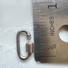 Load image into Gallery viewer, Carabiner Charm Holder