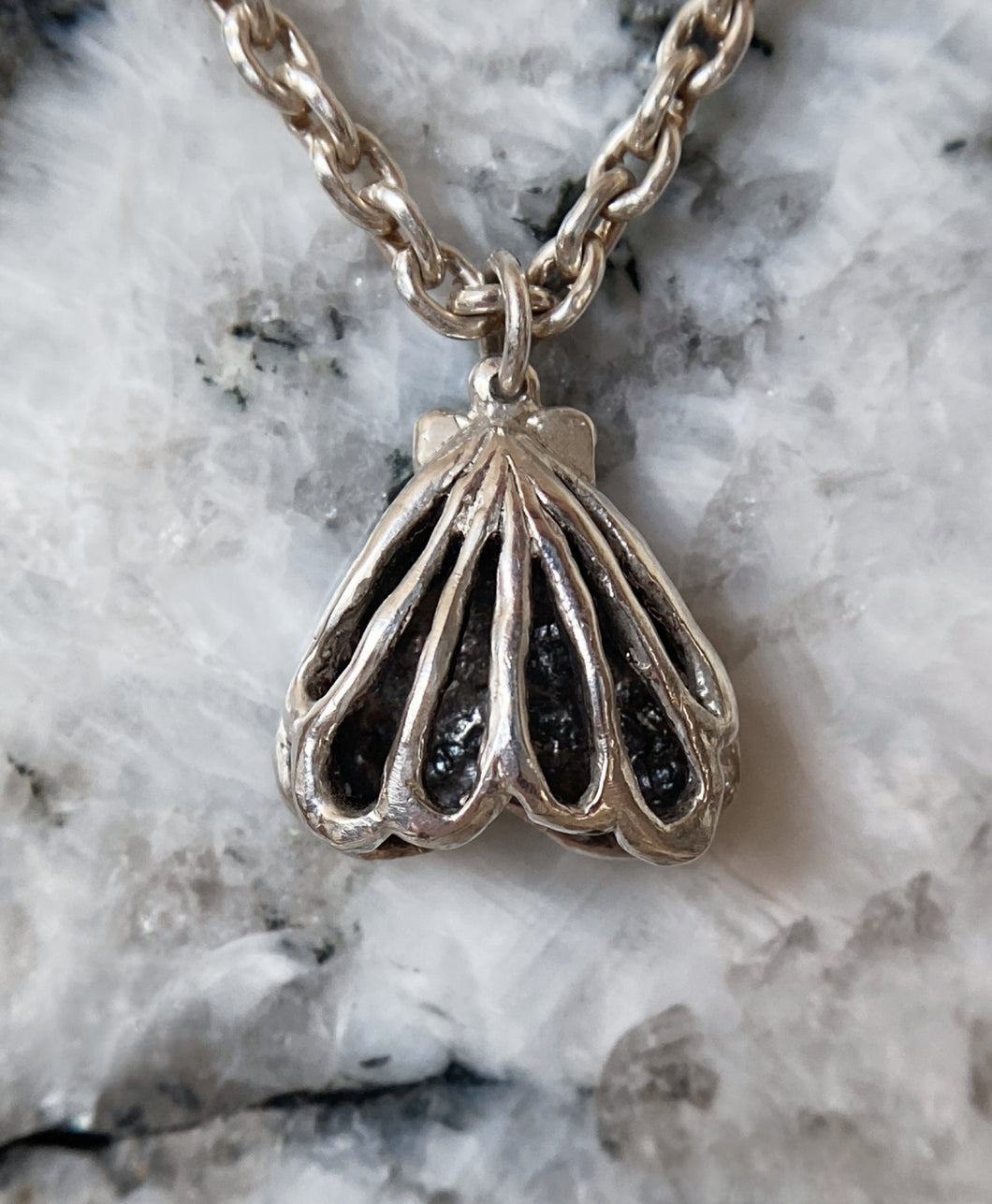 Baby Open Clam Shell Necklace